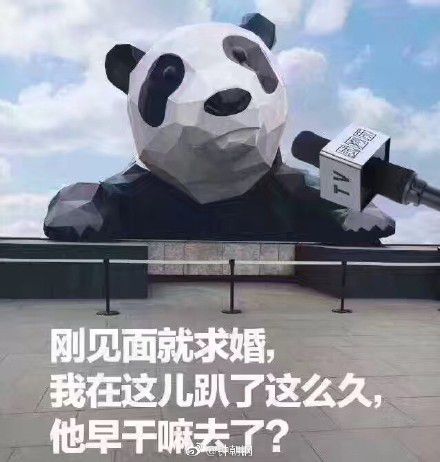 成都IFS熊猫求婚表情包