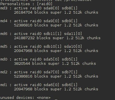 在RAID软磁盘阵列上搭建linux系统