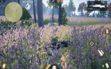 2017-10-12 11-27-19.png