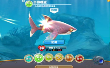 2017-12-14 17-49-57.jpg