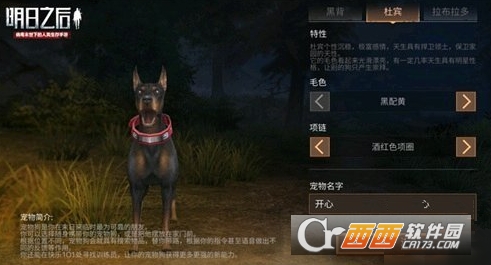 明日之后狗狗选择指南_游戏攻略_第1张_ab游戏 明日之后狗狗选择指南_http://www.abetid.com_游戏攻略_第1张