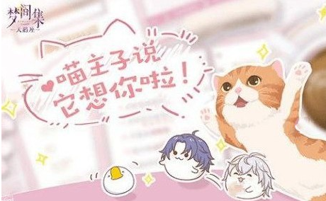 梦间集天鹅座猫粮获取方法介绍_http://www.abetid.com_游戏攻略_第1张